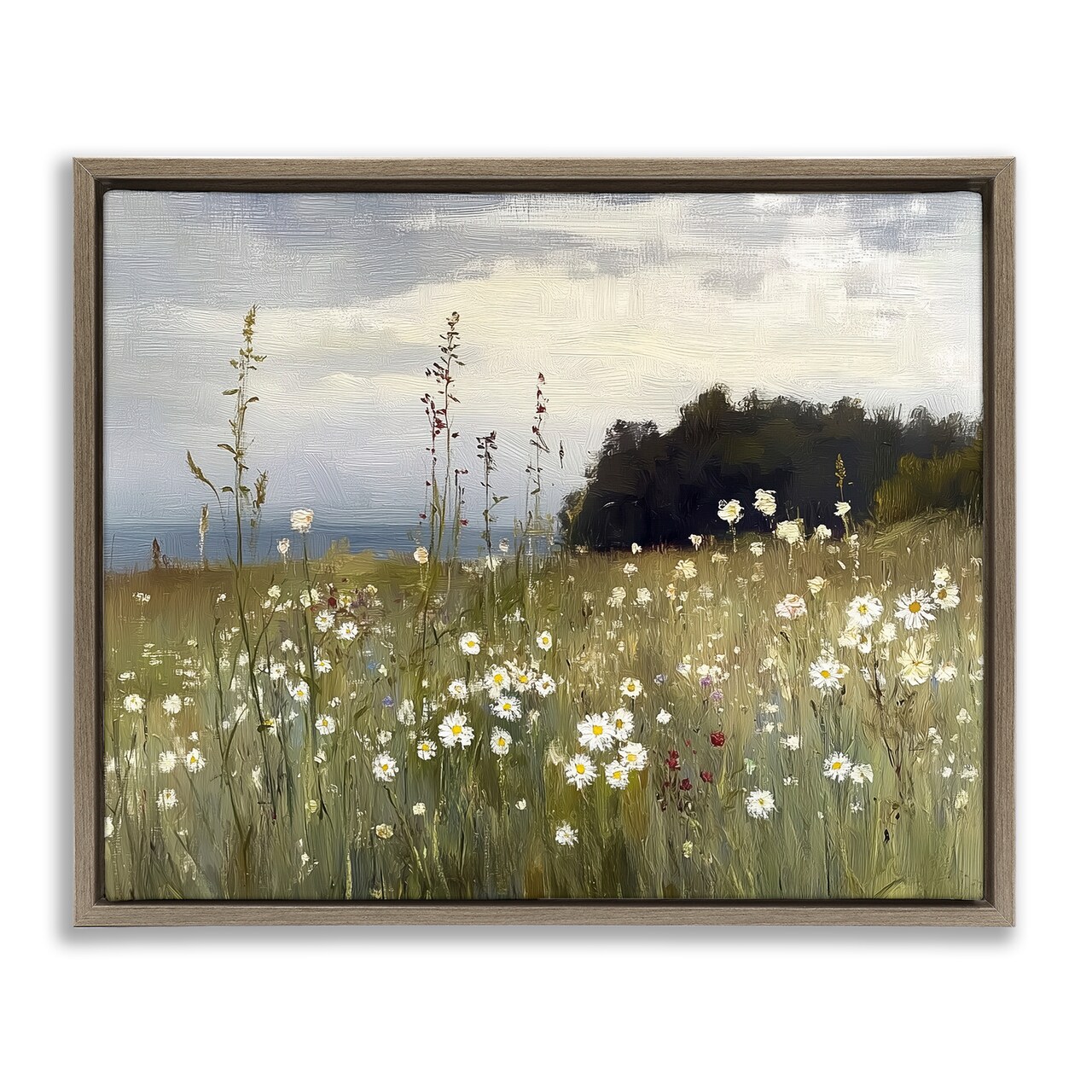 Stupell Industries Seaside Daisy Meadow Floating Frame By Annabelle Hall
